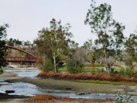 Vasona_Lake_County_Park_Los_Gatos_15.jpg