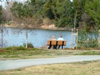 Vasona_Lake_County_Park_Los_Gatos_17.jpg