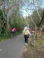 Vasona_Lake_County_Park_Los_Gatos_2.jpg