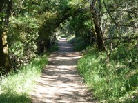WunderlichCountyPark7.JPG