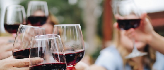 Wine Tour & Tasting